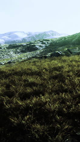 vast green meadow stretches beneath majestic snow capped mountains