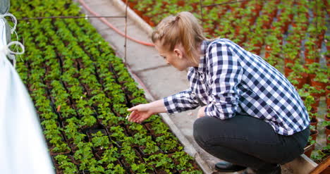 Young-Female-Botanist-Examining-Potted-Plant-26