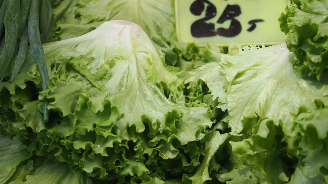 Fresh Lettuce and Green Onions