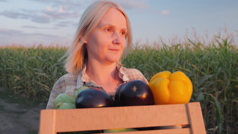 woman harvesting vegetables in corn field