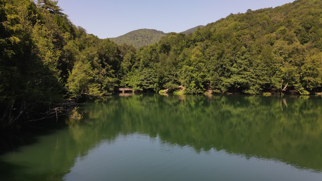 녹색 풍경을 반영하는 호수