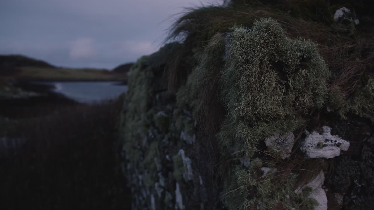 Static shot of the ruin of an ancient monastery founded by St Columba. Moss growing on the stonework is the subject. Filmed on the Isle of Lewis, part of the Outer Hebrides of Scotland
