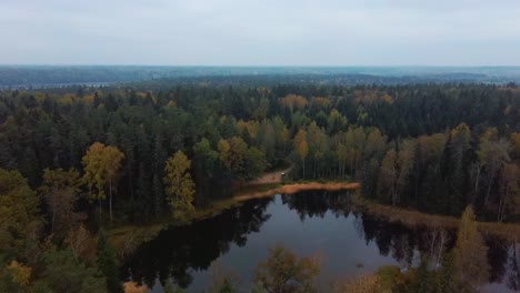 Vista-Aérea-Del-Bosque-De-Copas-De-árboles-De-Coníferas-De-Pino-Verde-Y-Abeto-Y-El-Lago-Kalnmuiza-En-Letonia