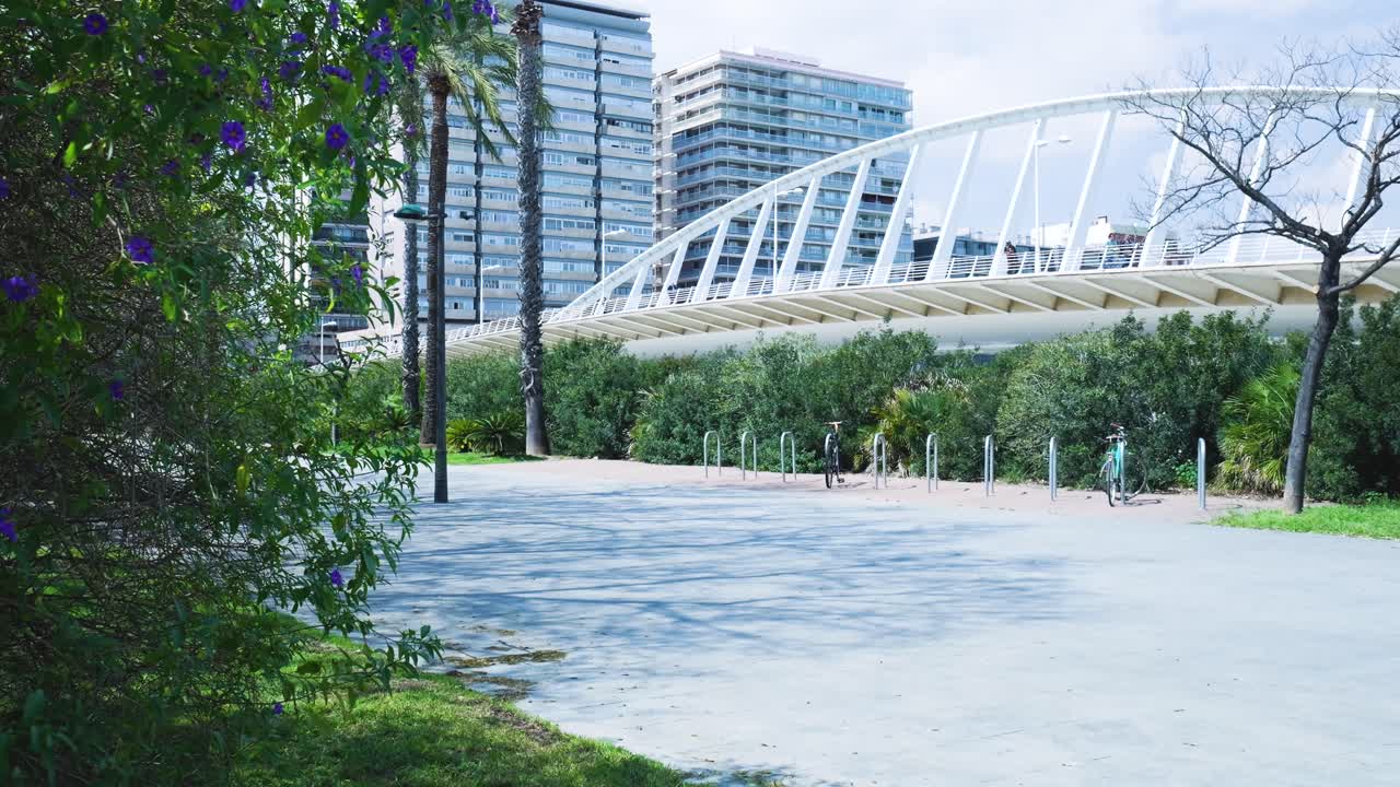 Urban Park with Bridge and Bike Path