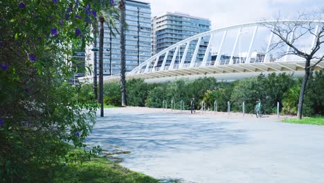urban park with bridge and bike path