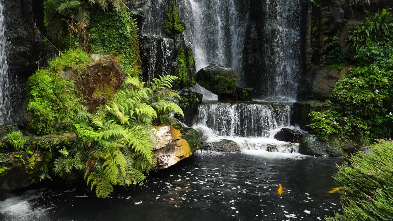 naturaleza panorámica de hermosas cascadas hojas de plantas verdes y estanque de agua dulce