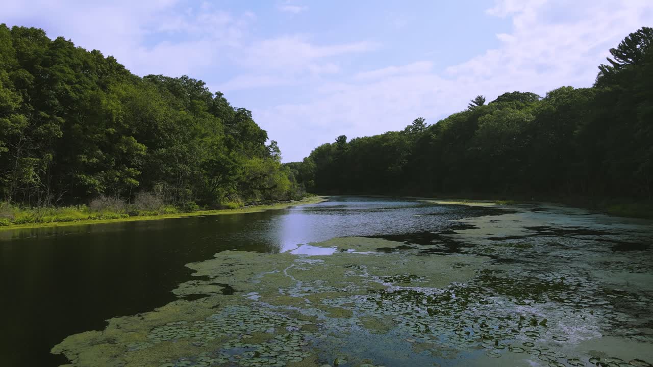 Ripresa in avanti di una laguna paludosa in Michigan