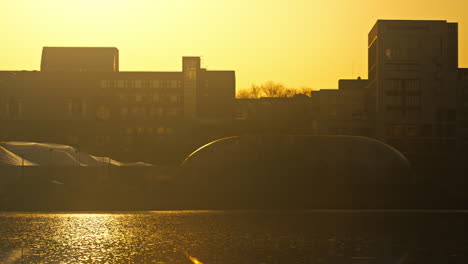 Panning-shot-of-a-bird-flying-over-a-lake-in-a-park-during-golden-hour