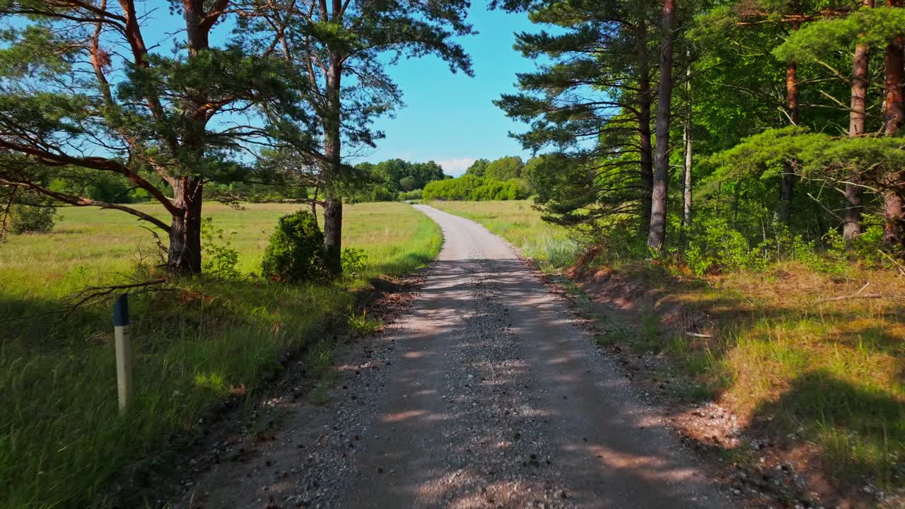 Moving on a country road through trees, fields on the sides