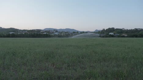 Sistema-De-Rociadores-De-Riego-Que-Riega-Un-Campo-Exuberante-En-Wollumbin