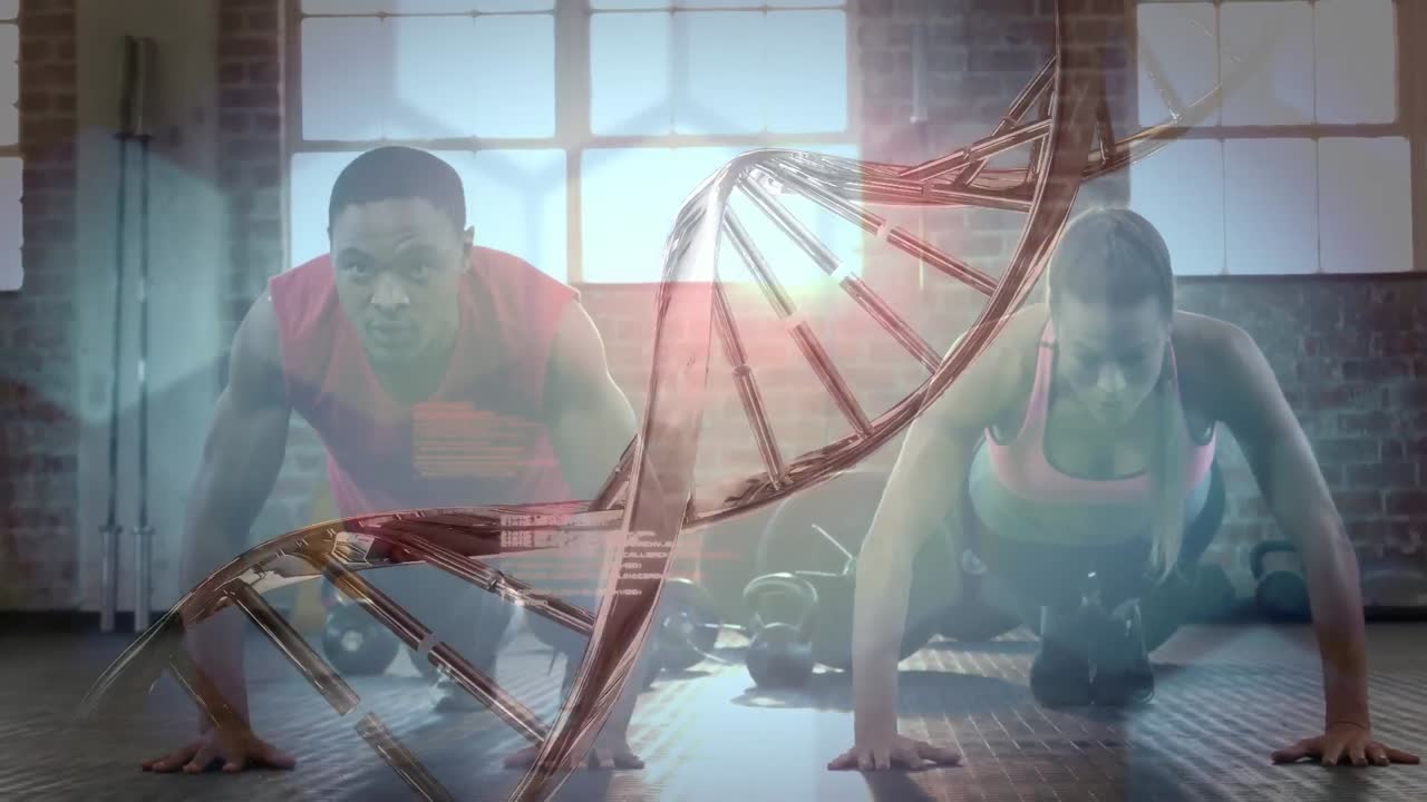 체육관에서 푸시업 운동을 하는 혼합 인종 피트 커플에 대한 의료 데이터 처리