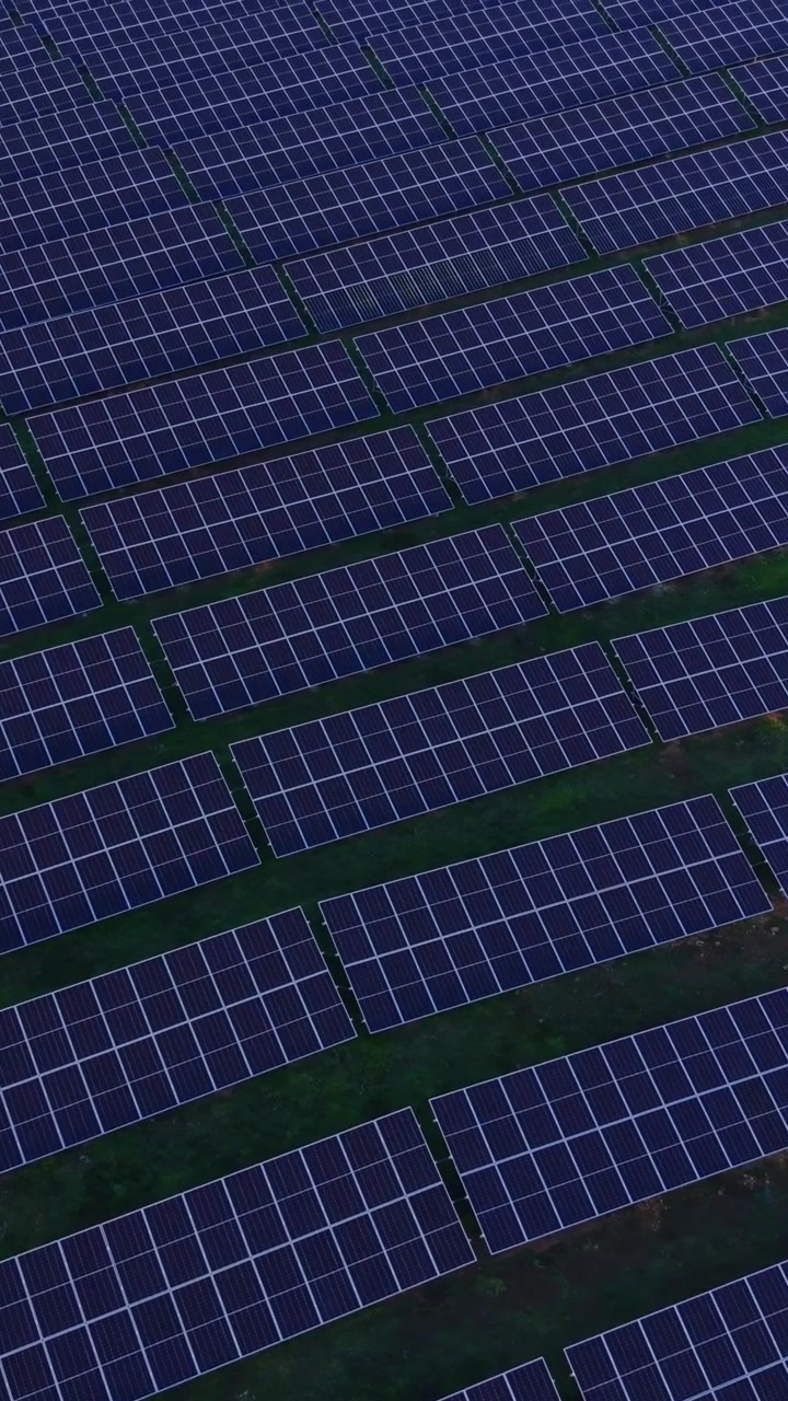 I pannelli solari catturano la luce solare in un ampio campo per la produzione di energia