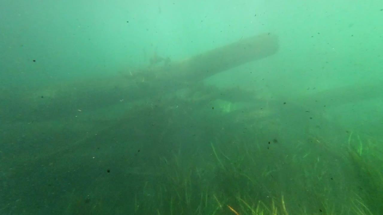 Underwater freshwater lake river spring scenery with grass and algae reflections and sun beams swimmers legs and snorkeling in Florida Ichetucknee river fish and alligators-4