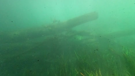 Underwater-freshwater-lake-river-spring-scenery-with-grass-and-algae-reflections-and-sun-beams-swimmers-legs-and-snorkeling-in-Florida-Ichetucknee-river-fish-and-alligators-4