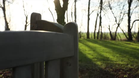 Sonniger-Tag-In-Einem-Großen-Garten-Mit-Holzbänken-Um-Die-Bäume-Mit-Windmühlen-Im-Hintergrund