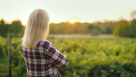 a woman farmer is looking forward to his vineyard the owner of the farm business back view