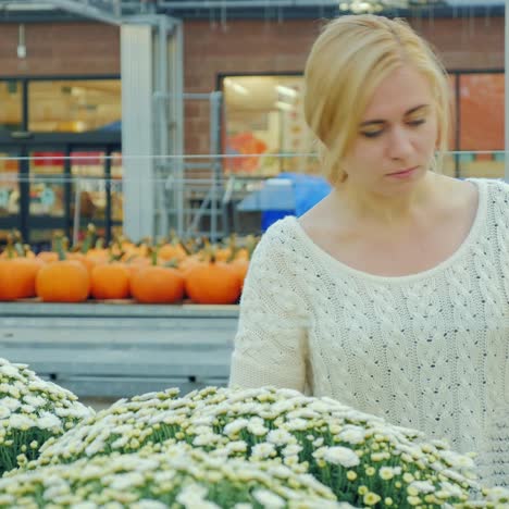 Joven-Mujer-Caucásica-Elige-Flores-Para-Paisajismo-En-El-Vivero-3