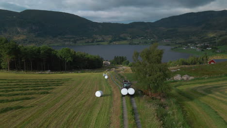 Bale-Grab-Tractor-Transporting-Silage-Bale-Rolls-Wrapped-In-White-Plastic-Film-At-A-Farm