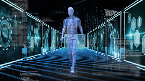 anatomía humana digital