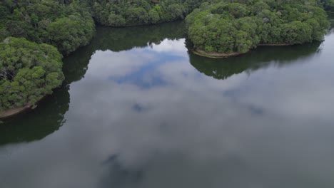 Volando-Sobre-Las-Tranquilas-Aguas-Del-Lago-Morris-En-El-Norte-De-Queensland,-Australia---Toma-Aérea-De-Drones