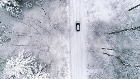 aerial view of car on road in winter forest