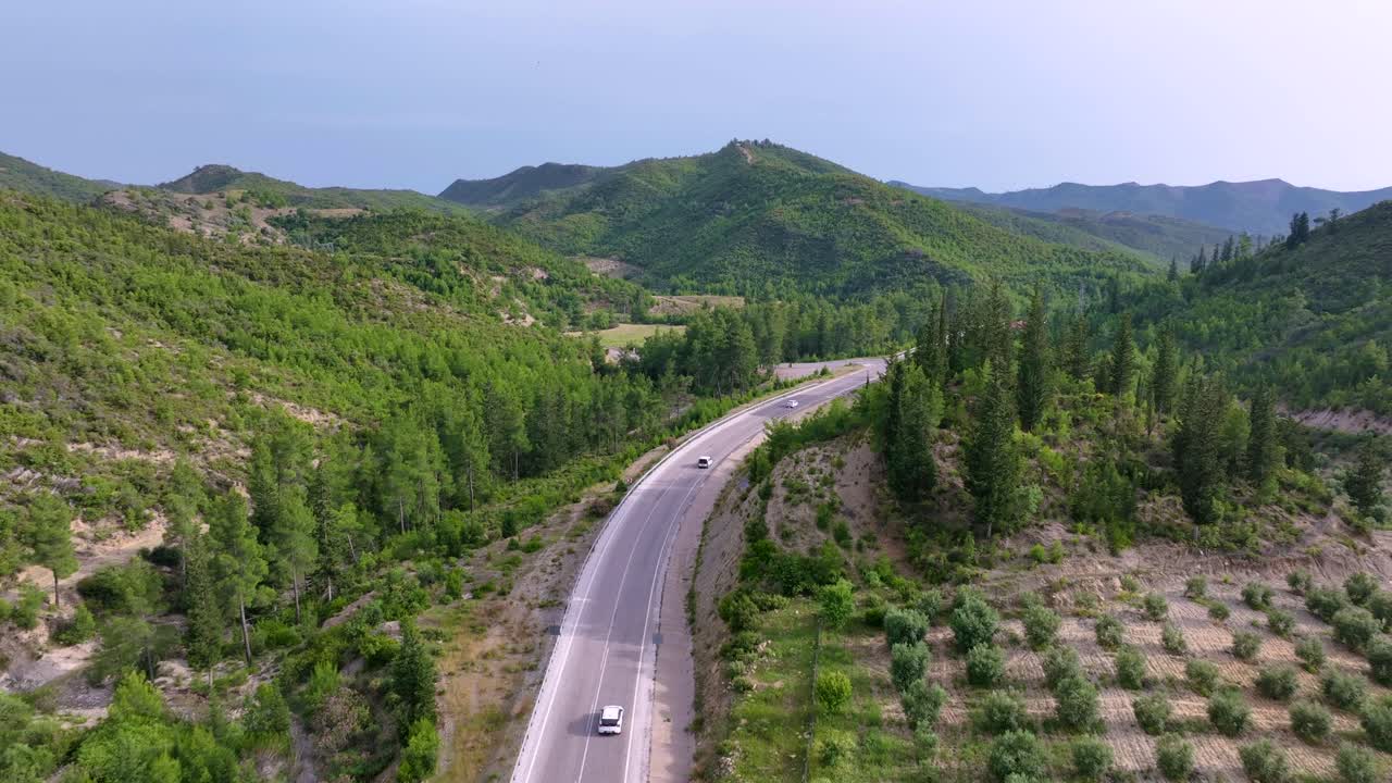 올리브 숲 이 있는 경치 좋은 산길