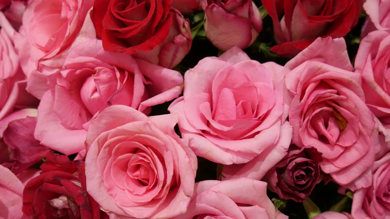 Buquê de rosas para decoração.