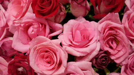 ramo de rosas para la decoración