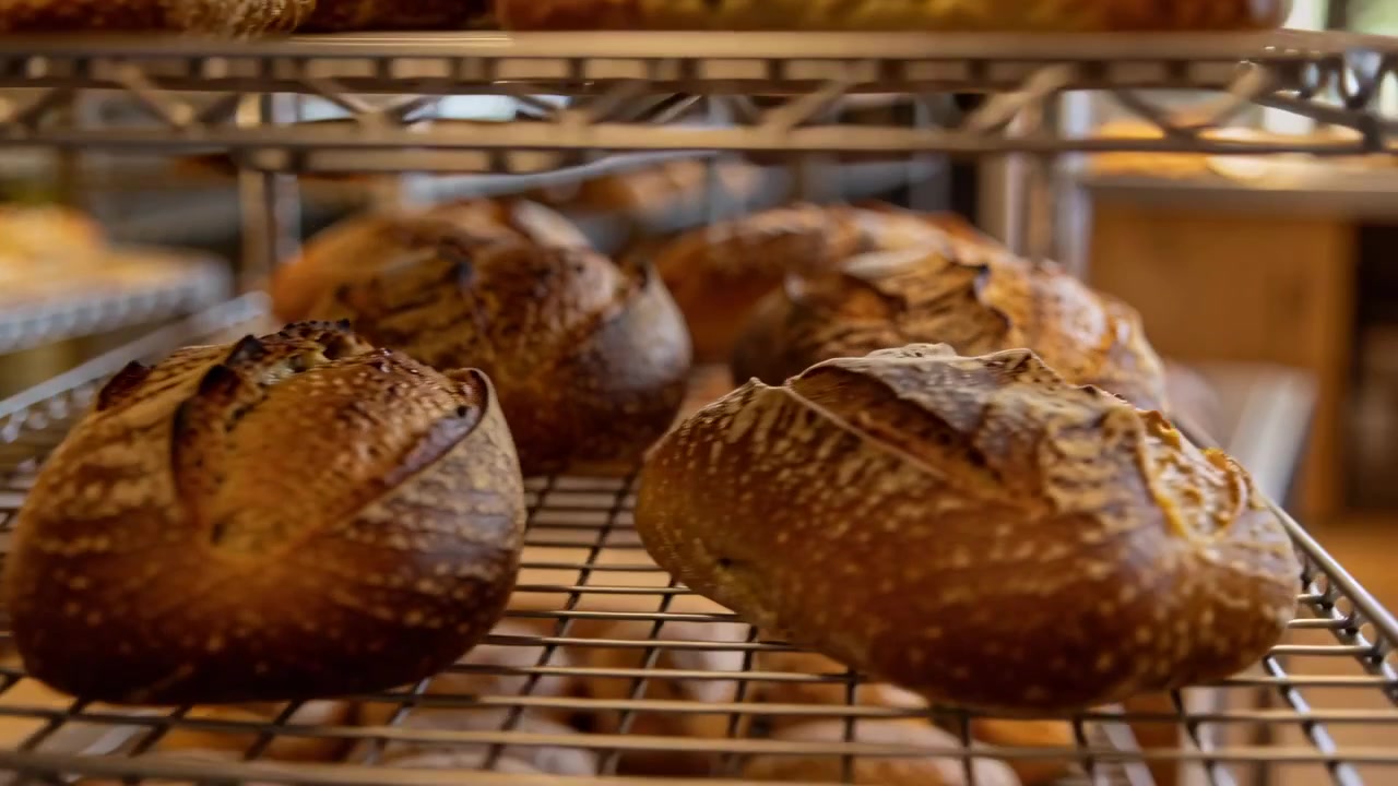 Panning camera starting right down in bakery, revealing round crusty scored loaves on tiered racks