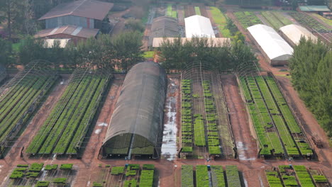 aerial view of modern industrial greenhouse farm, sustainable agriculture