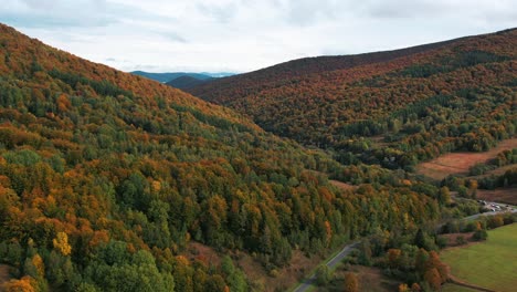 Antena-De-Hojas-De-Otoño-Camino-Pavimentado-En-Una-Montaña-Llena-De-árboles