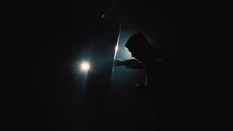 fighter's silhouette trinity in the gym - hits a boxing pear