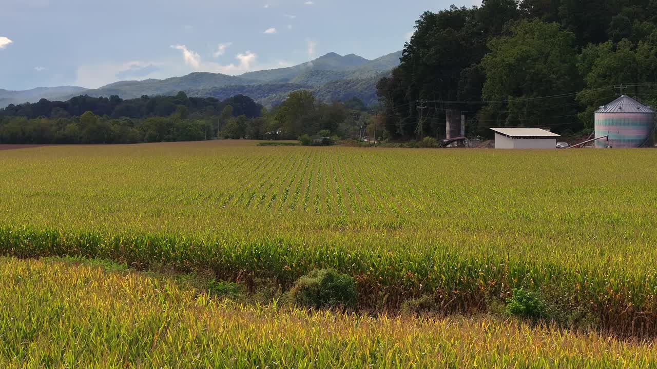 Drone view of cornfield silo and mountains in the background Marble NC