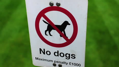 sign prohibiting dogs in park