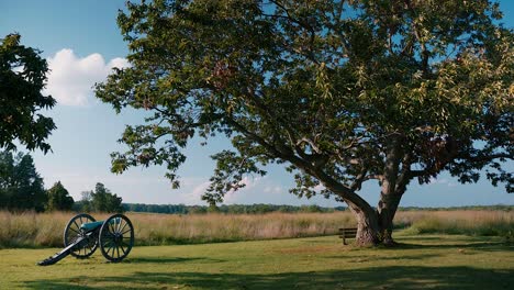 Sweeping-Shot-of-Large-tree-2-canons-grass-lands-a-field-of-brush-clouds-and-the-sky