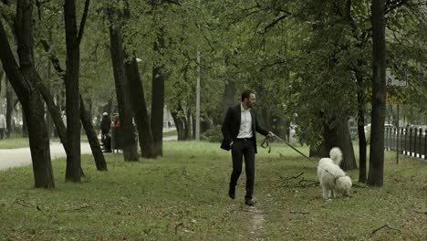 hombre de negocios camina en silencio con un gran perro blanco en el parque