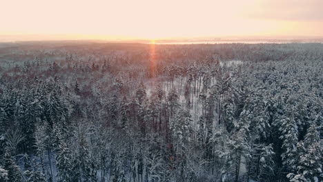 Luftaufnahmen-Vom-Flug-Zwischen-Wunderschönen-Verschneiten-Bäumen-Mitten-In-Der-Wildnis-In-Lappland,-Finnland.