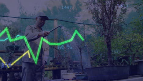 gardener holding hose watering bonsai trees in garden nursery, with animated growth charts floating