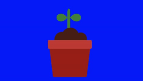 animación de un icono de planta en crecimiento en una pantalla azul