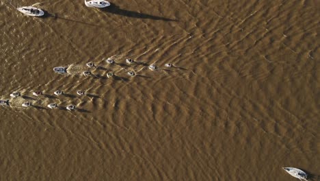 Top-down-view-of-large-boats-carrying-smaller-ones-in-a-mighty-river-with-dark-colored-water