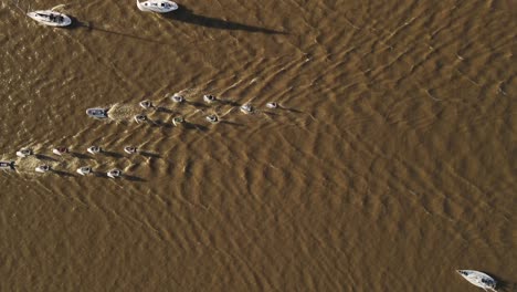 vista de arriba hacia abajo de grandes barcos que transportan otros más pequeños en un poderoso río con agua de color oscuro