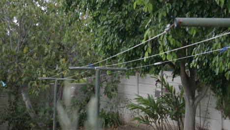 una vieja línea de lavado con postes de metal verde y una sola clavija en un jardín verde