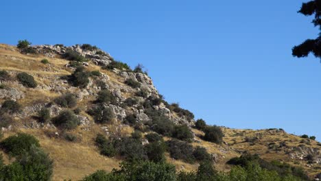 rocky hillside landscape under clear sky