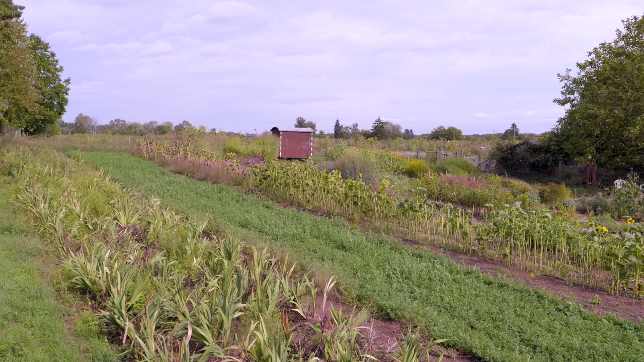 oberfeld, 다름슈타트, 헤센, 독일 흐린 날