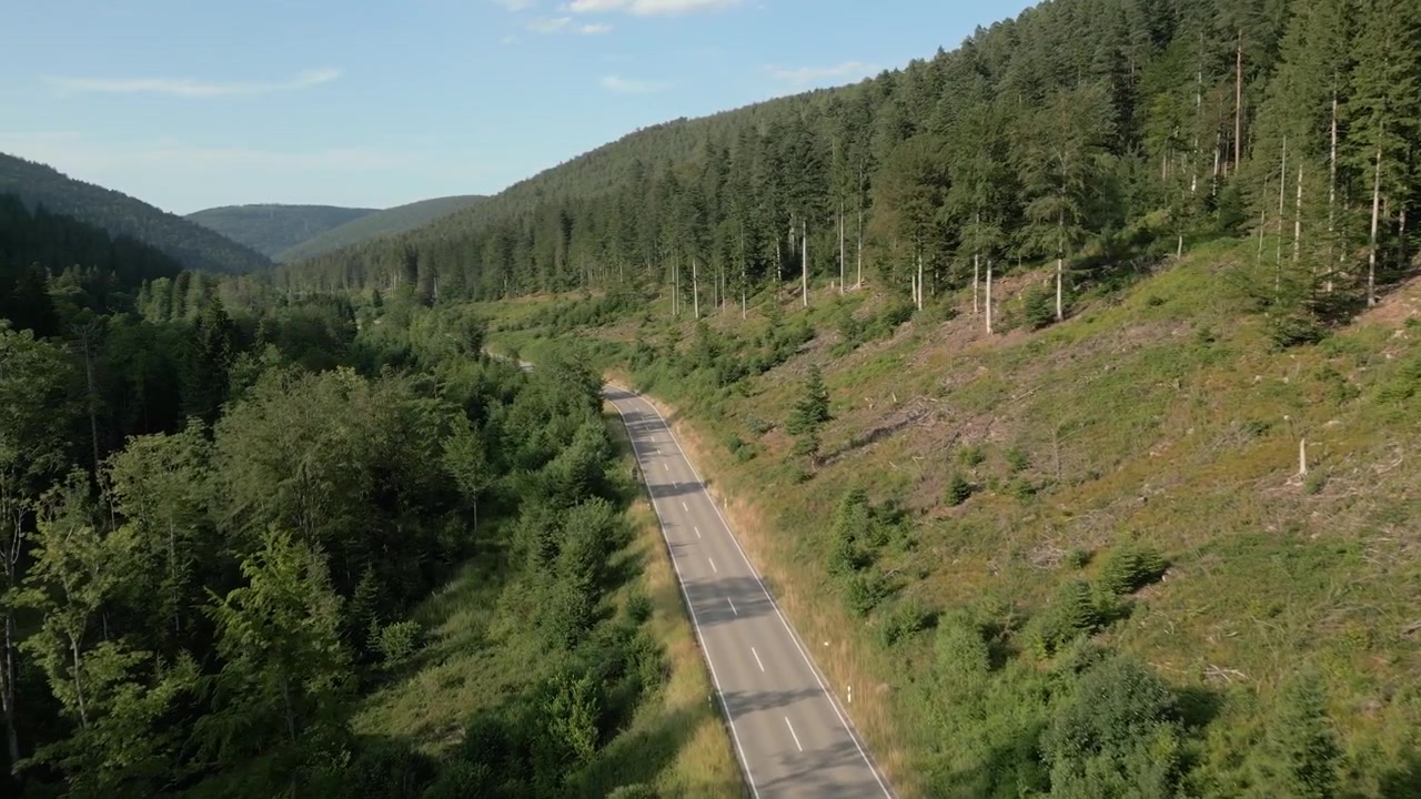 Beautiful drone footage flying above a scenic country road in Germany surrounded by lush trees and peaceful rural landscape. Perfect for tourism, travel, countryside, and nature-themed projects.