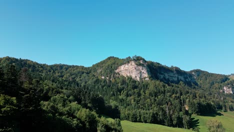 roca en medio del bosque en un lugar de suiza hacia el final del verano-1