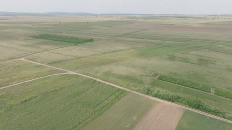 Riesige-Landwirtschaftliche-Felder-An-Einem-Sonnigen-Tag-In-Domnesti,-Rumänien