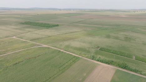 Vast-Agricultural-Fields-On-A-Sunny-Day-In-Domnesti,-Romania