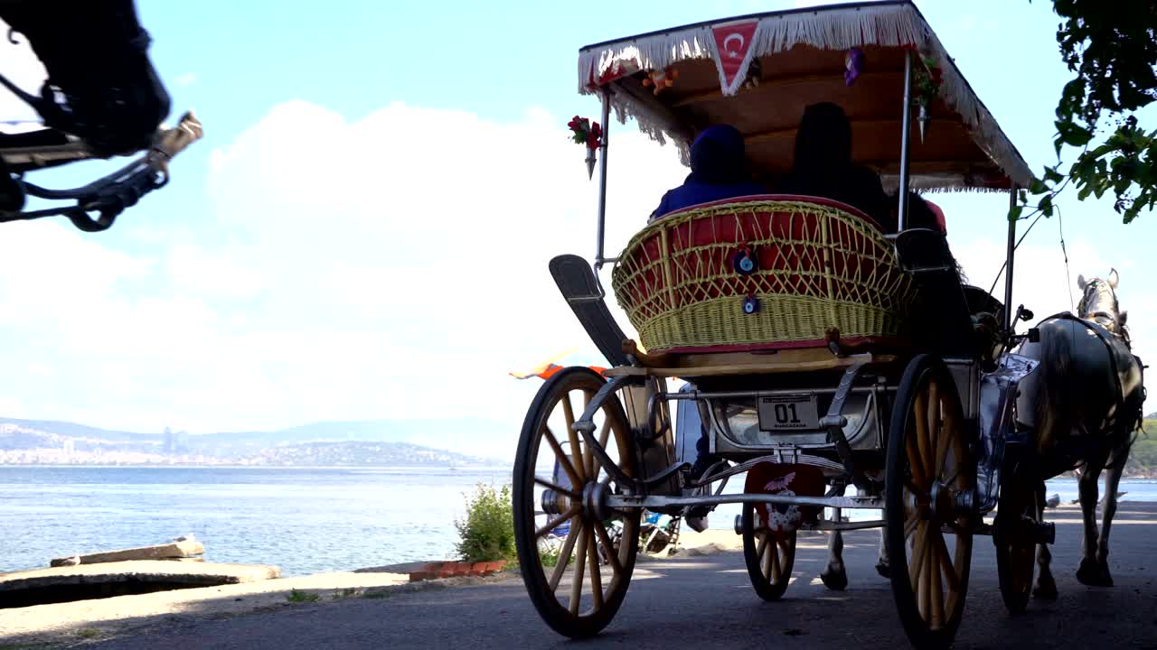 Horse drawn Prince Island carriage tour in Istanbul. Island tour would be an easy day trip without a car since you can take a 2-hour horse-drawn carriage ride and discover the charms of Buyukada