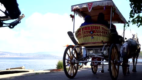 horse drawn prince island carriage tour in istanbul. island tour would be an easy day trip without a car since you can take a 2-hour horse-drawn carriage ride and discover the charms of buyukada